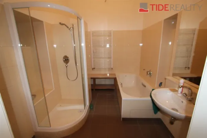 Pronájem bytu 3+1, Praha - Vinohrady, Mánesova, 100 m2