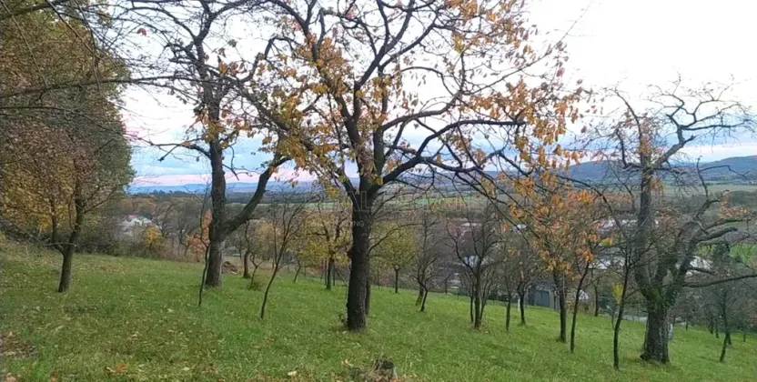 Prodej zahrady, Přílepy, 3492 m2