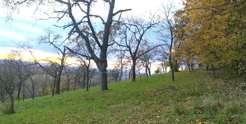 Prodej zahrady, Přílepy, 3492 m2