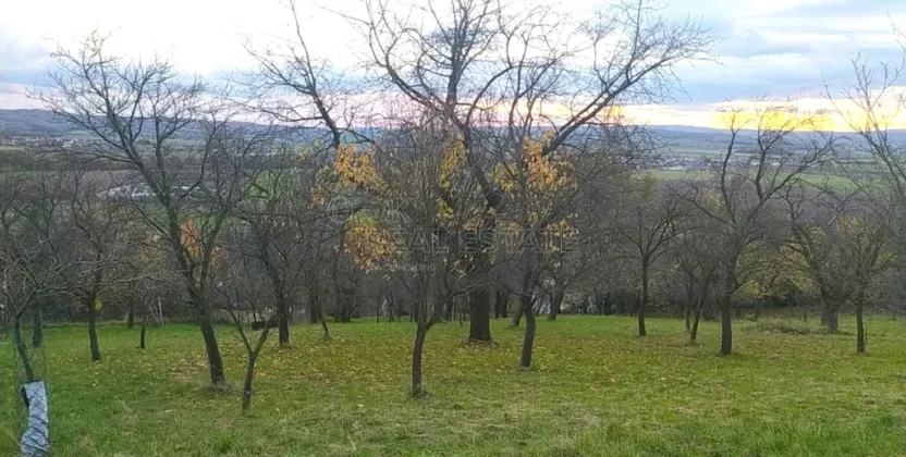 Prodej zahrady, Přílepy, 3492 m2