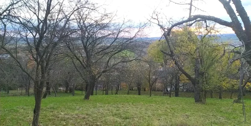 Prodej zahrady, Přílepy, 3492 m2