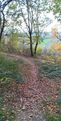 Prodej zahrady, Přílepy, 3492 m2