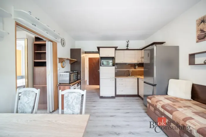 Prodej bytu 1+1, Brno - Černovice, Turgeněvova, 34 m2