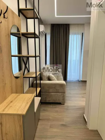 Prodej bytu 1+kk, Golem, 36 m2