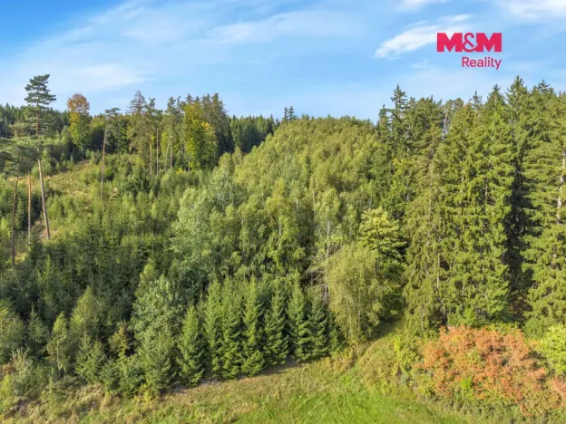 Prodej lesa, Vidochov, 8513 m2