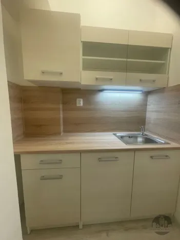 Pronájem bytu 1+kk, Praha - Smíchov, Plzeňská, 49 m2