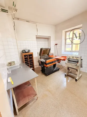 Pronájem výrobních prostor, Netolice, Mírové Náměstí, 500 m2