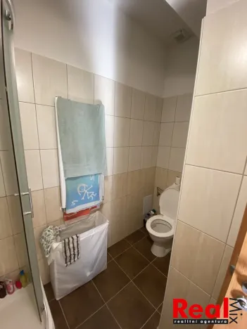 Pronájem bytu 1+kk, Brno - Veveří, Smetanova, 30 m2