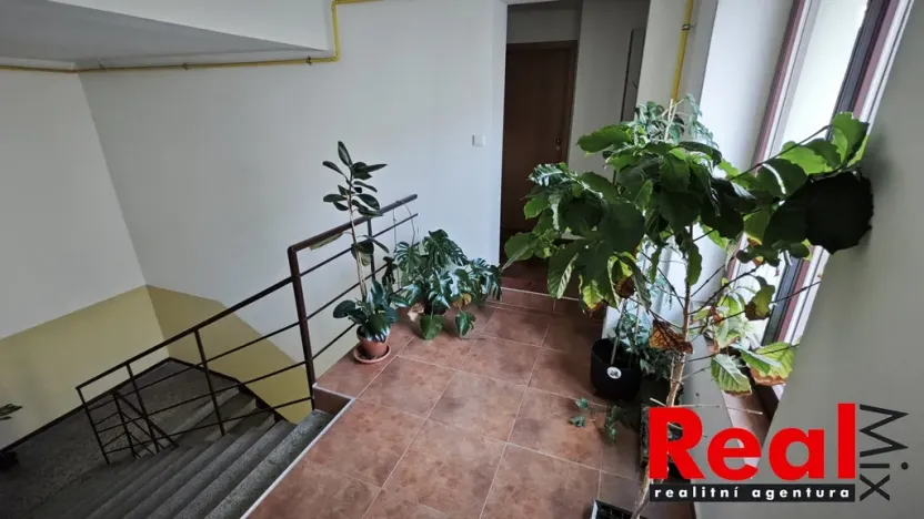 Pronájem bytu 1+kk, Brno - Veveří, Smetanova, 30 m2