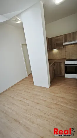 Pronájem bytu 1+kk, Brno - Veveří, Smetanova, 17 m2