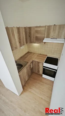 Pronájem bytu 1+kk, Brno - Veveří, Smetanova, 17 m2