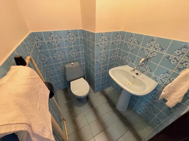 Pronájem rodinného domu, Bříšťany, 230 m2