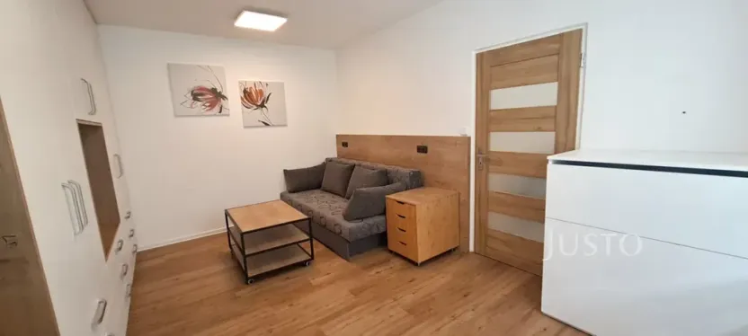 Pronájem bytu 1+1, Písek, 17. listopadu, 41 m2