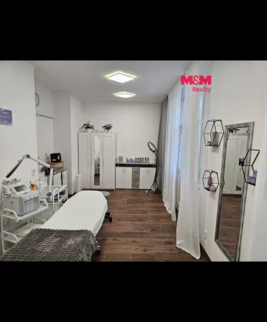 Pronájem obchodního prostoru, Praha - Nusle, Bohuslava ze Švamberka, 35 m2