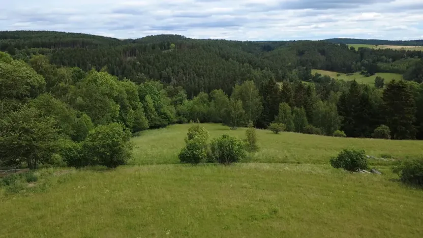 Prodej pozemku pro bydlení, Planá, 1435 m2