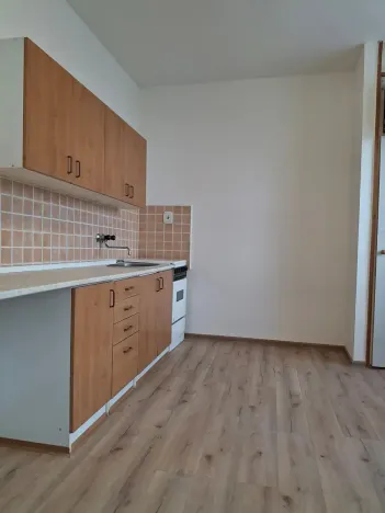 Pronájem bytu 1+kk, Žatec, Svatováclavská, 30 m2