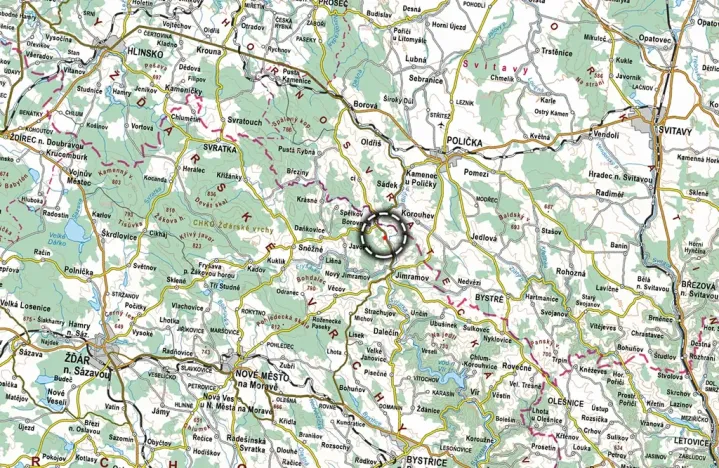 Prodej louky, Borovnice, 16910 m2