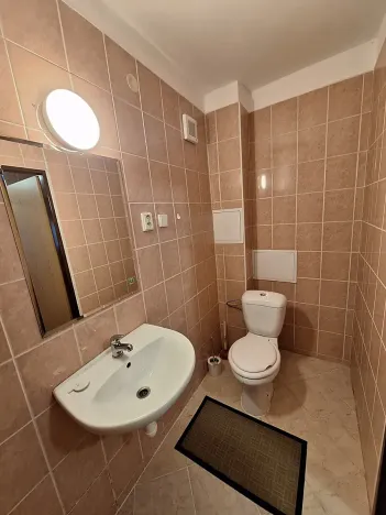 Pronájem bytu 1+kk, Brozany nad Ohří, Voborského, 25 m2