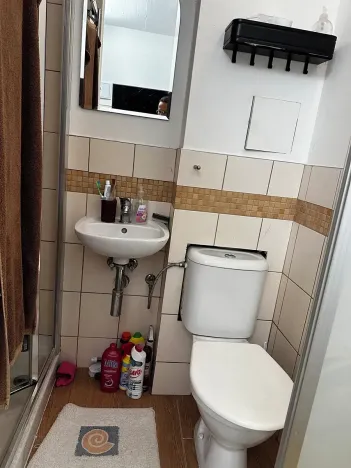 Prodej skladu, Brno, Bednářova, 11 m2