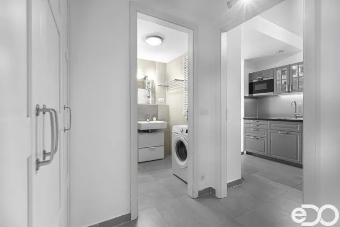 Pronájem bytu 1+kk, Praha, Petržílkova, 42 m2