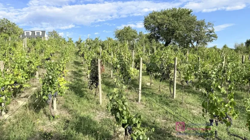 Prodej zahrady, Mikulov, Nová, 14 m2