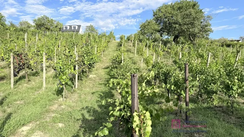 Prodej zahrady, Mikulov, Nová, 14 m2