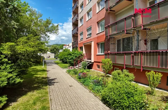Prodej bytu 1+1, Litvínov - Horní Litvínov, Čapkova, 36 m2