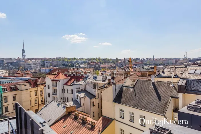 Prodej bytu 1+kk, Praha - Nové Město, Dlážděná, 61 m2