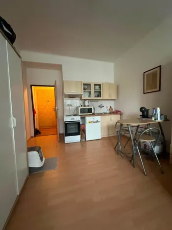 Pronájem bytu 1+kk, Praha - Libeň, Drahobejlova, 20 m2
