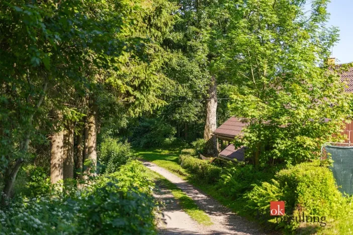 Prodej pozemku pro bydlení, Říčky v Orlických horách, 1400 m2