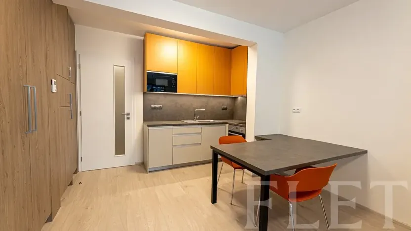 Pronájem bytu 1+kk, Praha - Žižkov, Hartigova, 36 m2