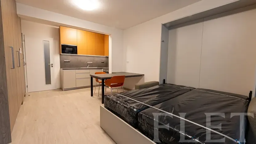 Pronájem bytu 1+kk, Praha - Žižkov, Hartigova, 36 m2