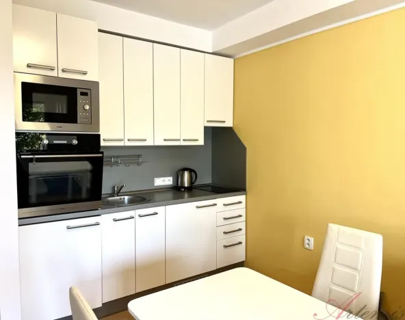 Pronájem bytu 1+kk, Frýdek-Místek - Frýdek, Hasičská, 29 m2
