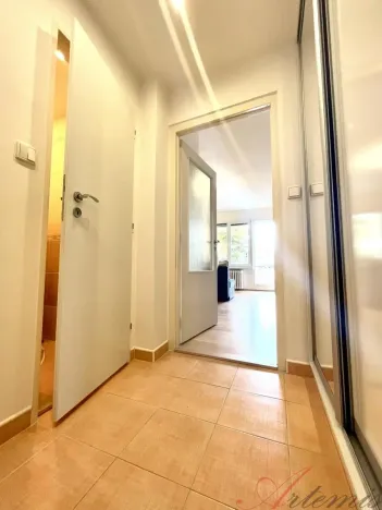 Pronájem bytu 1+kk, Frýdek-Místek - Frýdek, Hasičská, 29 m2
