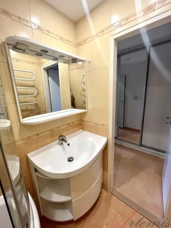 Pronájem bytu 1+kk, Frýdek-Místek - Frýdek, Hasičská, 29 m2