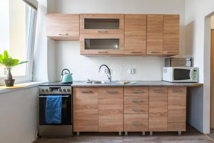 Pronájem bytu 1+kk, Přerov - Přerov I-Město, Husova, 26 m2