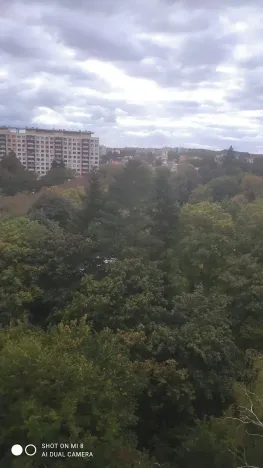 Pronájem bytu 2+kk, Praha - Kobylisy, Bojasova, 45 m2
