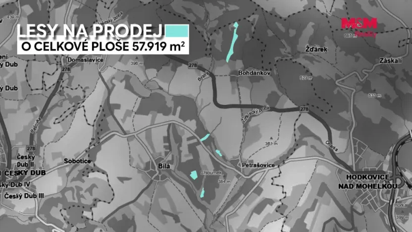 Prodej lesa, Bílá, 22447 m2