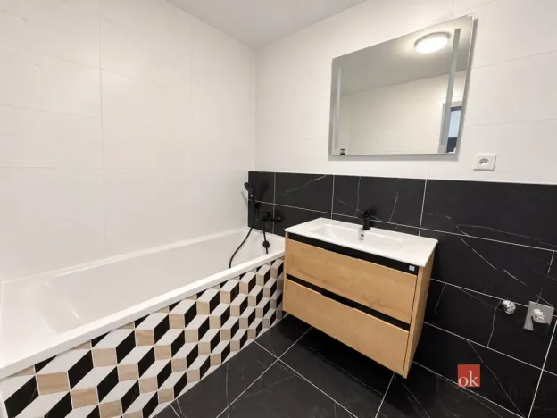 Pronájem bytu 2+kk, Plzeň - Jižní Předměstí, Železná, 52 m2