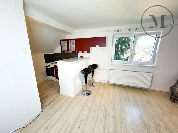 Pronájem bytu 1+kk, České Budějovice, Dobrovodská, 32 m2