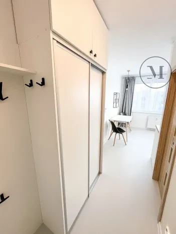 Pronájem bytu 1+1, České Budějovice, Puklicova, 41 m2