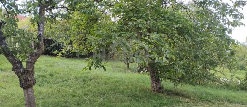 Prodej rodinného domu, Suchomasty, 160 m2