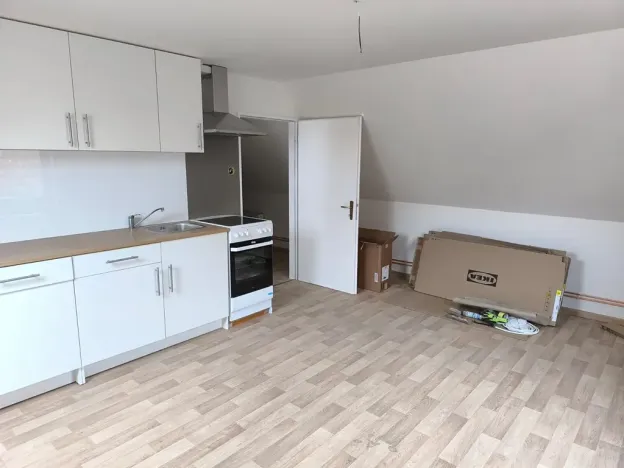 Prodej vícegeneračního domu, Běleč, Dukelská, 470 m2