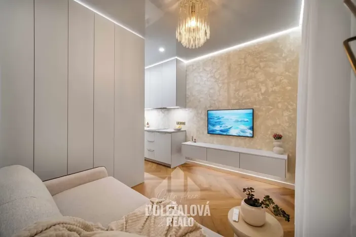 Prodej bytu 1+kk, Praha - Strašnice, Kralická, 25 m2