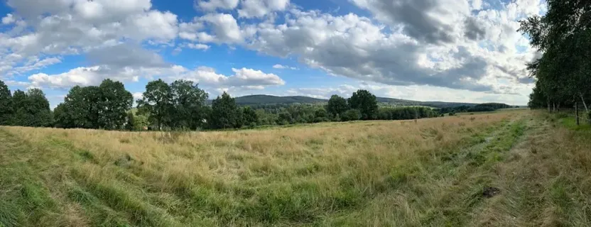 Prodej zemědělské usedlosti, Cheb, 960 m2