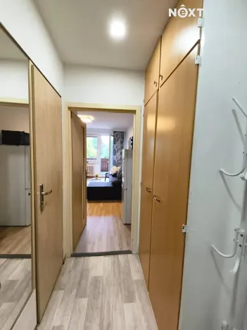 Pronájem bytu 1+kk, Bohumín, Svat. Čecha, 28 m2