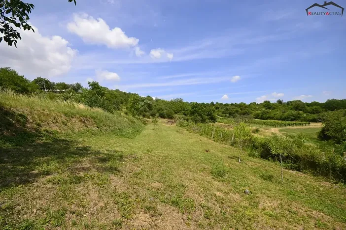 Prodej sadu/vinice, Bzenec, 2460 m2