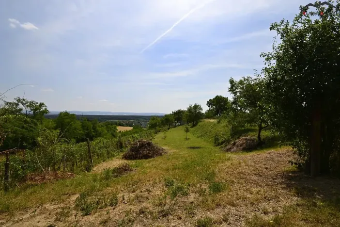 Prodej sadu/vinice, Bzenec, 2460 m2