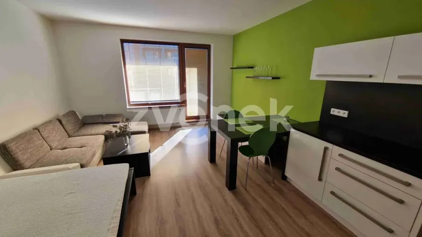 Pronájem bytu 1+kk, Uherské Hradiště, Pastýrna, 30 m2