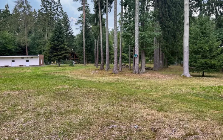 Prodej pozemku pro bydlení, Jevany, Ve Smrčinách, 8498 m2